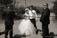 Весілля. Изображение 5488 Весілля. Изображение 5488