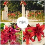 IDEALные свадьбы. Изображение 5521