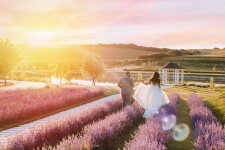 Love Story. Изображение 66208