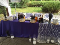 ДЕКОР/БАНКЕТ/ЦЕРЕМОНИЯ. Изображение 70539