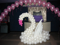 Оформление свадеб. Изображение 5783