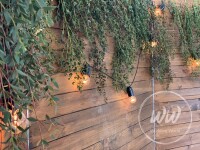   Свадьбы с гипсофилой. Изображение 65823