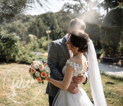 Свадьбы в персиковых тонах. Изображение 65790