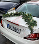 Аксессуары. Изображение 65837