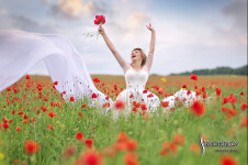 Свадебное портфолио. Изображение 65642