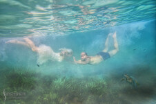 Свадебное портфолио. Изображение 65656