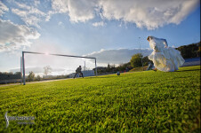 Свадебное портфолио. Изображение 65658