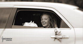 Свадебное портфолио. Изображение 65660