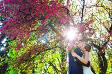 Свадебное портфолио. Изображение 65659