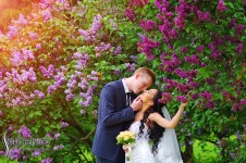 Свадебное портфолио. Изображение 65663