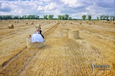 Свадебное портфолио. Изображение 65680