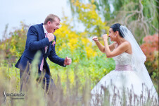 Свадебное портфолио. Изображение 65676