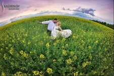 Свадебное портфолио. Изображение 65664