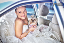 Свадебное портфолио. Изображение 65689