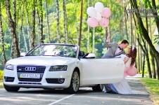 Свадебное портфолио. Изображение 65697