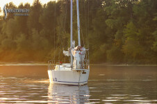 Свадебное портфолио. Изображение 65687