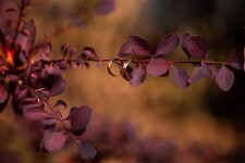 Свадебное портфолио. Изображение 66161