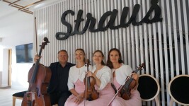 Live. Изображение 66237