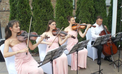 Live. Изображение 66240