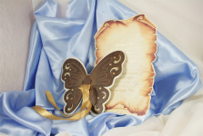 Запрошення. Изображение 5880