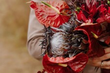 Стильная свадьба в стиле гранж Вова и Лера. Изображение 66465