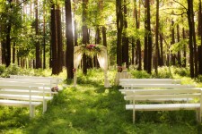 Нежная выездная церемония Оли и Антона. Изображение 66591