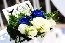 Портфолио. Изображение 67664 Портфолио. Изображение 67664