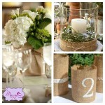 Яблочный банкет. Изображение 5922