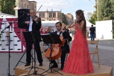 String trio Primavera. Изображение 67326