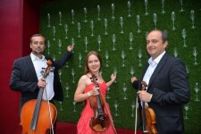 String trio Primavera. Изображение 67328