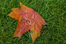 Весільний. Изображение 67782 Весільний. Изображение 67782