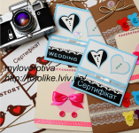 лаванда. Изображение 67958