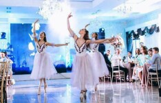 Prime_ballet в работе. Изображение 68287