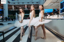 Prime_ballet в работе. Изображение 68288