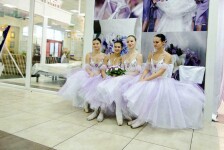Prime_ballet в работе. Изображение 68295