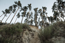 Фотосессия после вадьбы на Киевском море. Изображение 68456