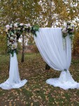Свадебная арка. Изображение 68830 Свадебная арка. Изображение 68830