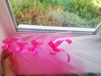 Девичник. Изображение 68971