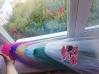 Девичник. Изображение 68973