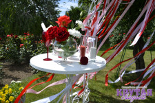 Оформление выездной церемонии. Изображение 6133