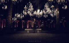 Beautiful Harp. Изображение 69246