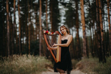 Beautiful Harp. Изображение 69241