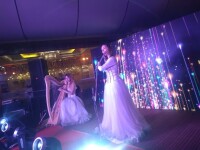 Beautiful Harp. Изображение 69245