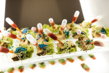 Портфолио. Изображение 69269