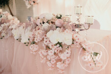 Navy & Blush. Изображение 69350