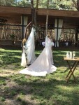 Weddings❤️. Изображение 69517