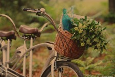 Детали наших свадеб. Изображение 6223