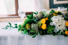 История с суккулентами. Изображение 70512