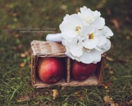 Свадебная флористика. Изображение 70519