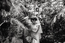 Wedding. Изображение 70998